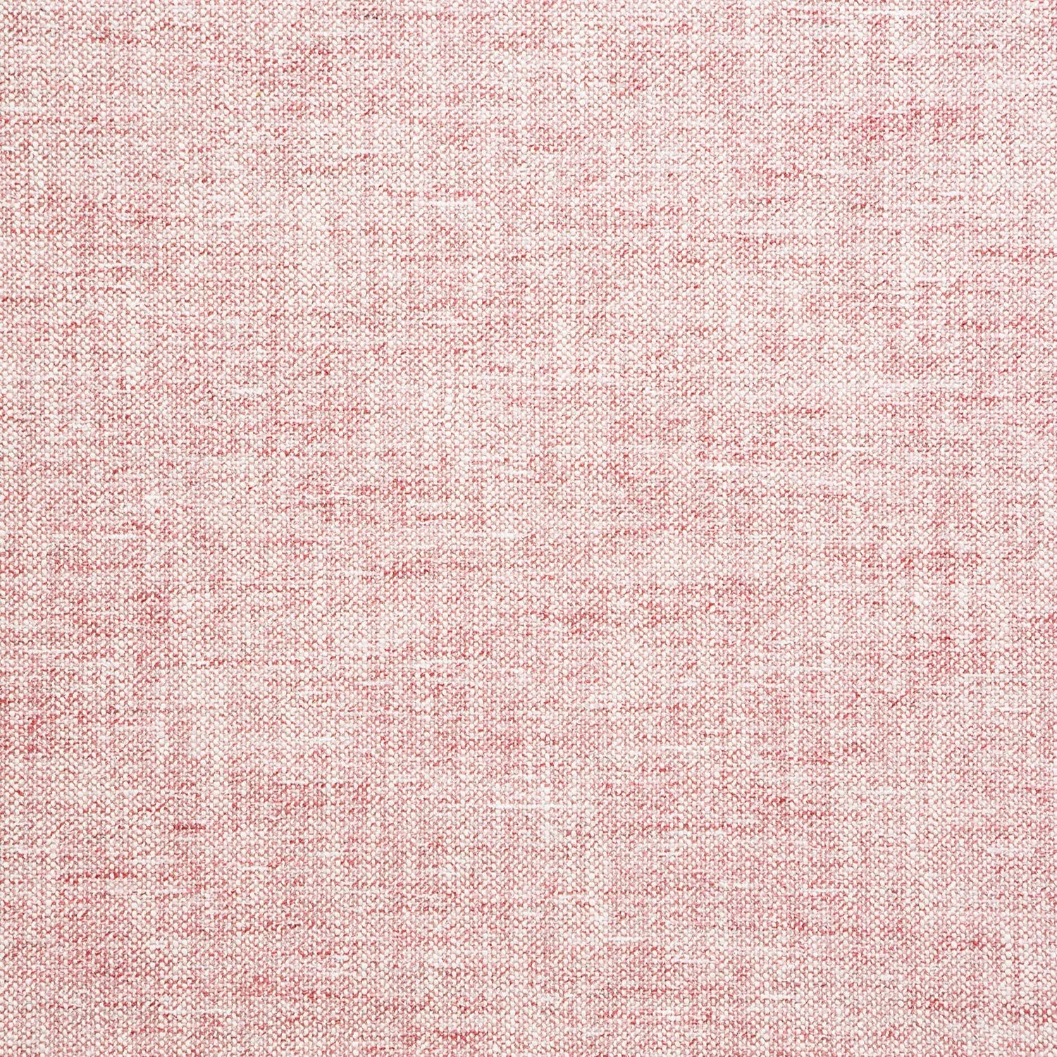 Freya Sherbet