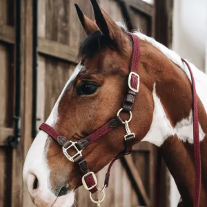 Kentucky Horsewear Plaited Nylon Halter