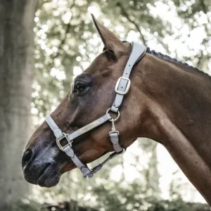 Kentucky Suede Anatomic Halter