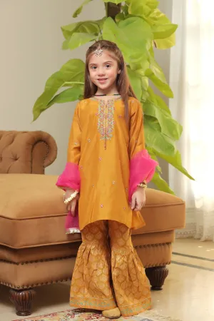 Tehwaar by Shanzey Stitched 3 Piece Formal Festive Collection'2022-SHK-907